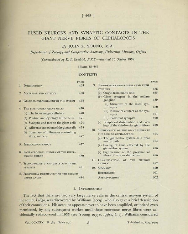 Item #125 Fused Neurons and Synaptic Contacts in the Giant Nerve Fibres of Cephalopods in Philosophical Transactions of the Royal Society of London, No 564 Vol 229 Series B 25 May 1939. John Z. Young.