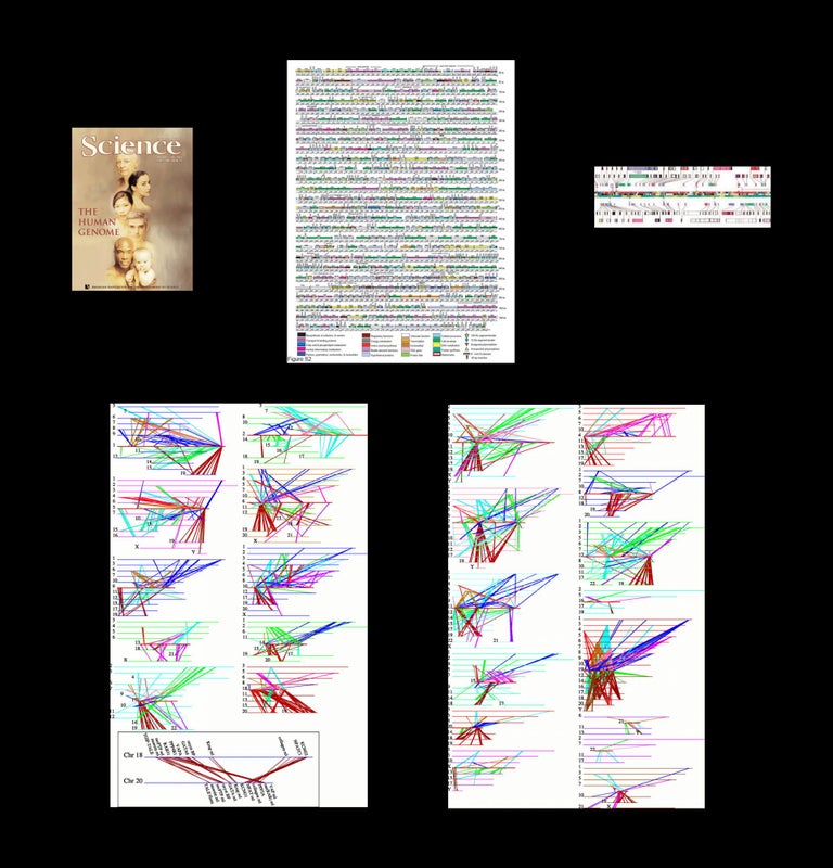 Item #1269 The Sequence of the Human Genome in Science 291, Issue 5507, pp. 1304-1351, February 16, 2001. Adams MD Venter JC, Sutton GG, Mural RJ, Li PW, Myers EW.