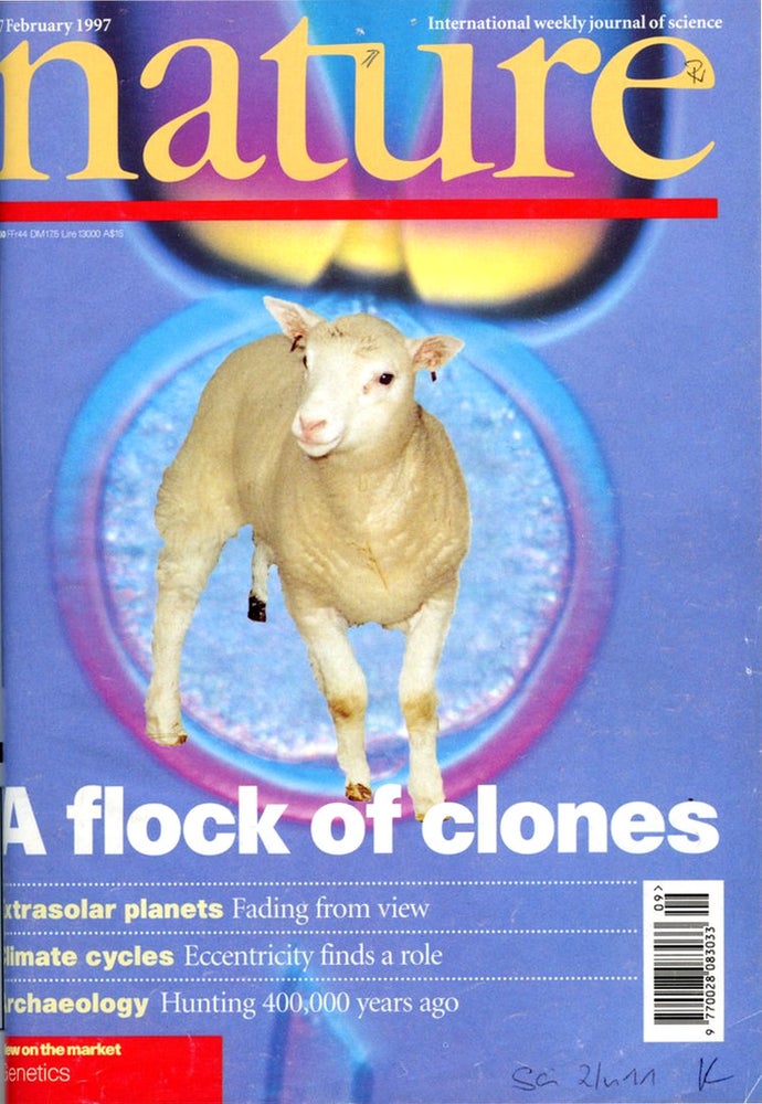 Item #1577 Viable Offspring Derived From Fetal and Adult Mammalian Cells WITH An Udder Way of Making Lambs (Comment by Stewart) in Nature 385, no. 6619, February 27, 1997, pp. 810-813; (Wilmut & Campbell); 769-771 (Stewart). Ian Wilmut, WITH Colin Stewart, et. al., Keith Campbell.