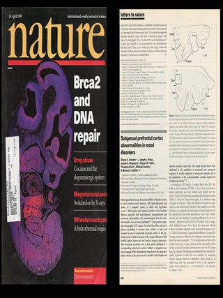 Item #1702 Subgenual prefrontal cortex abnormalities in mood disorders in Nature 386, No. 6627,...