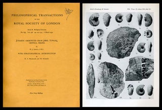 Item #242 Jurassic Ammonites From Jebel Tuwaiq, Central Arabia, with R. A. Bramkamp; M. Steineke...