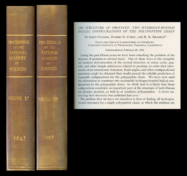 Item #348 The Structure of Proteins: Two Hydrogen-Bonded Helical Configurations of the Polypeptide Chain in Proceedings of the National Academy of Sciences, 37, 1951, pp. 205-211 WITH The Pleated Sheet, a New Layer Configuration of Polypeptide Chains in PNAS, 37, 1951, pp. 251-256 WITH Configurations of Polypeptide Chains with Equivalent CIS Amide Groups, PNAS, 38, 1952, pp. 86-93. Linus Pauling, Robert Corey, H. R. WITH Pauling Branson, Linus, Paul WITH Pauling Corey, Linus.